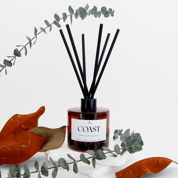 WS1 COAST {reed diffuser}